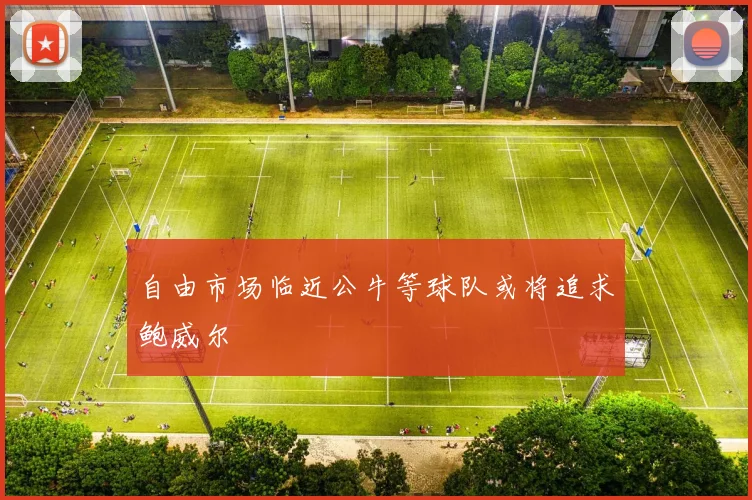 自由市场临近公牛等球队或将追求鲍威尔