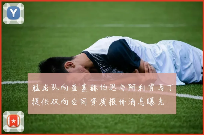 猛龙队向查基赫伯恩与阿利贾马丁提供双向合同资质报价消息曝光